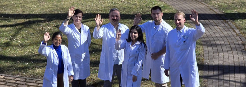 Heart Research Team